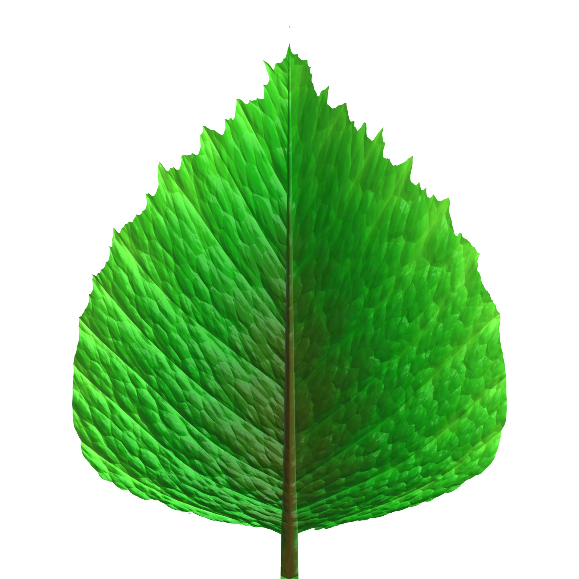 green-leaf-1367634640wem | Bloomfield Cooling, Heating & Electric, Inc.